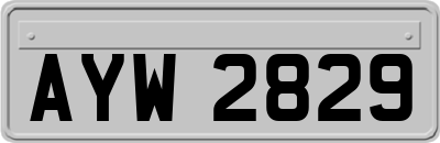 AYW2829