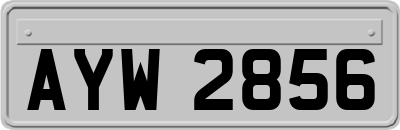 AYW2856