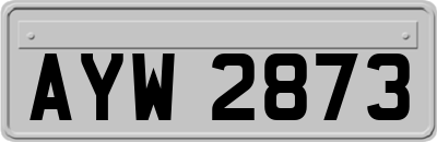 AYW2873