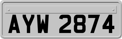 AYW2874