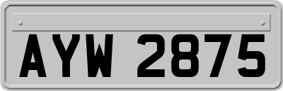 AYW2875