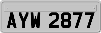 AYW2877