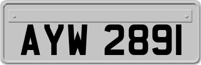 AYW2891