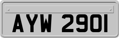 AYW2901