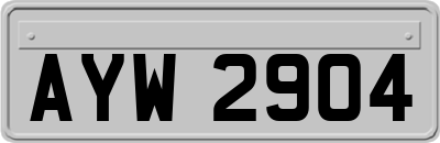 AYW2904