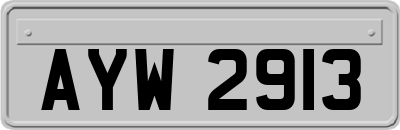 AYW2913