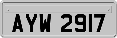 AYW2917