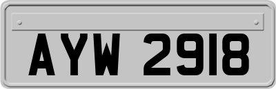AYW2918