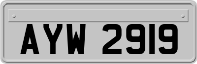 AYW2919