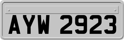 AYW2923