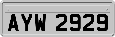 AYW2929