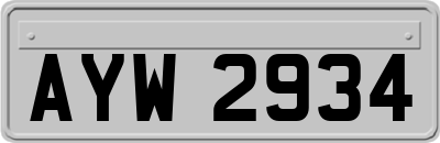 AYW2934