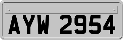 AYW2954