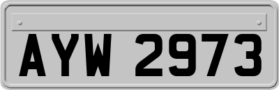 AYW2973