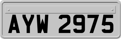 AYW2975