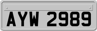 AYW2989
