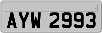 AYW2993