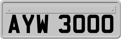 AYW3000
