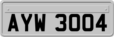 AYW3004