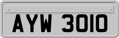 AYW3010