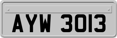 AYW3013