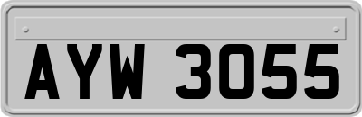 AYW3055