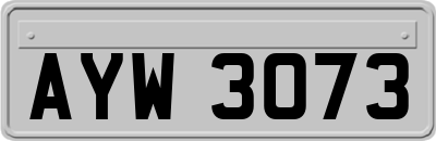 AYW3073