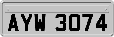 AYW3074