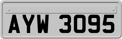 AYW3095
