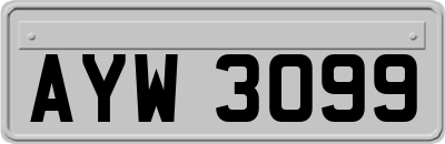 AYW3099