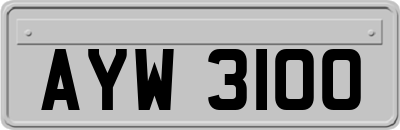 AYW3100