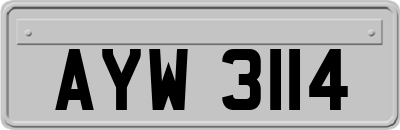 AYW3114