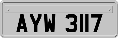 AYW3117