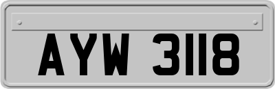 AYW3118