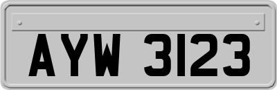 AYW3123
