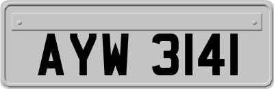 AYW3141