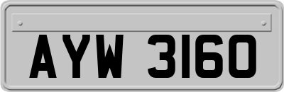 AYW3160