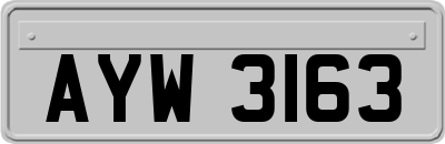 AYW3163
