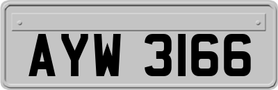 AYW3166