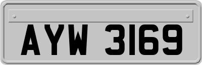 AYW3169