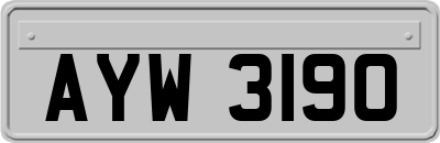 AYW3190