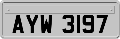 AYW3197
