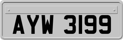 AYW3199