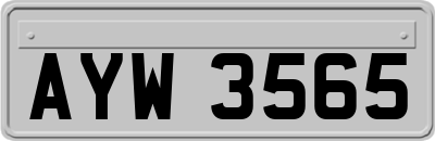 AYW3565