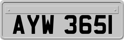 AYW3651
