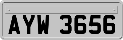 AYW3656