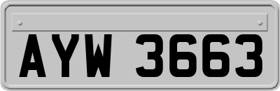 AYW3663