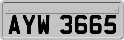 AYW3665