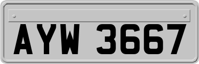 AYW3667