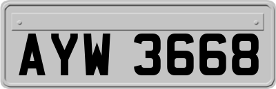 AYW3668